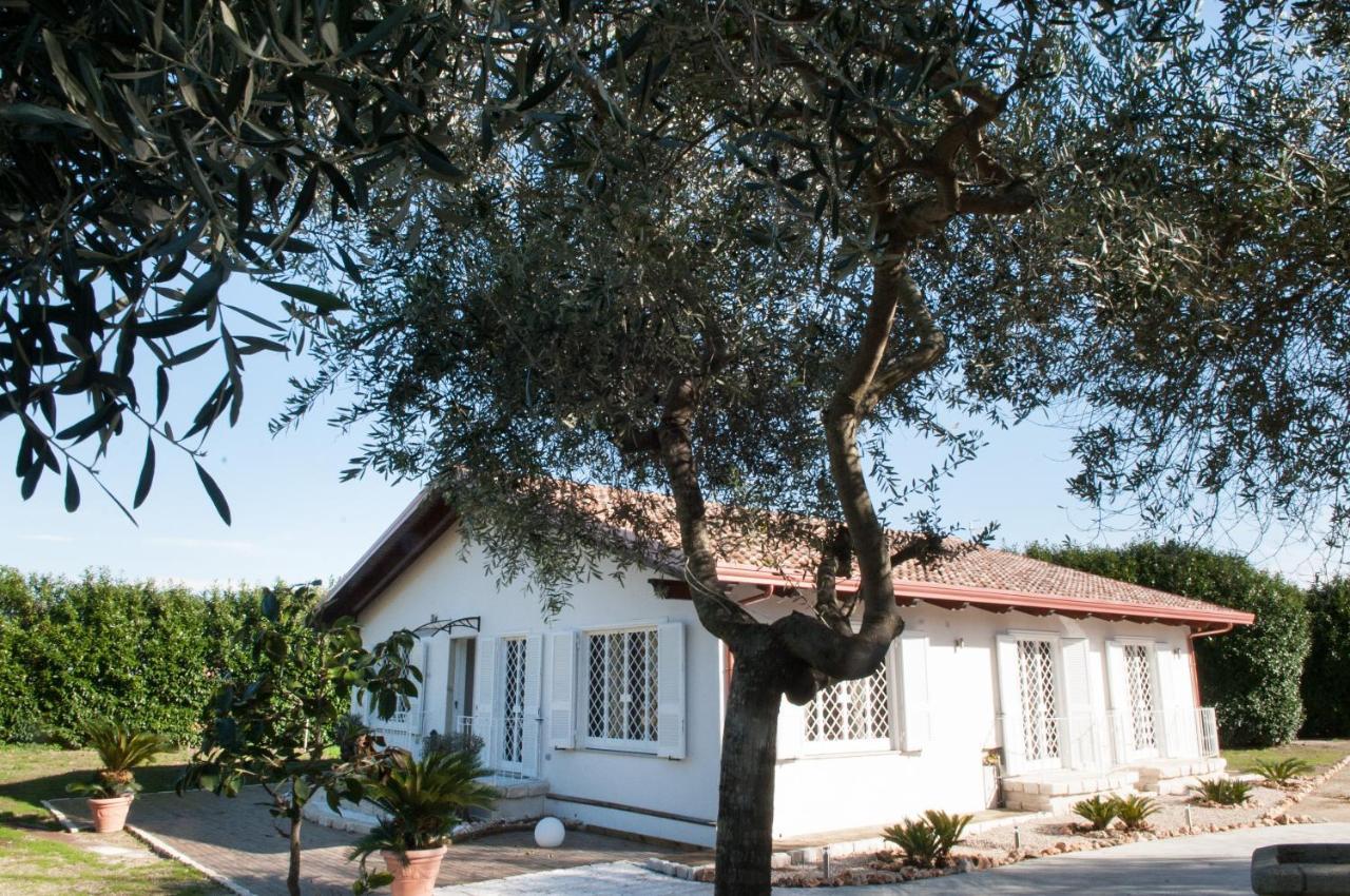 Tenuta Michele Napoli Eksteriør billede