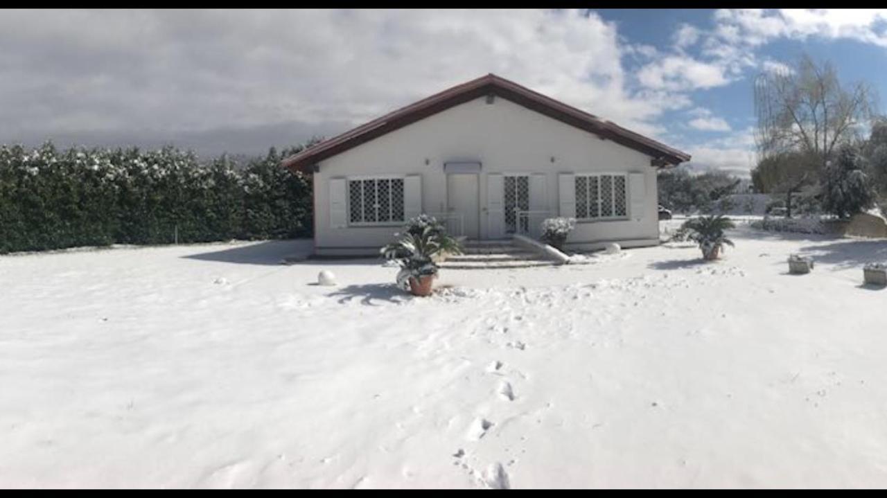 Tenuta Michele Napoli Eksteriør billede